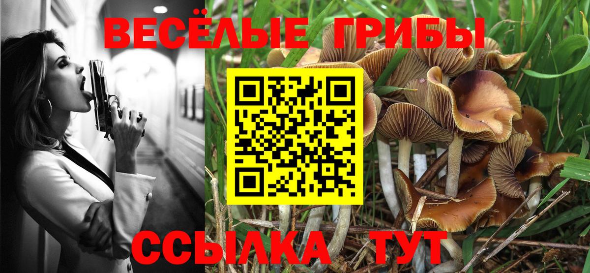 Псилоцибиновые грибы ЛСД Кунгур