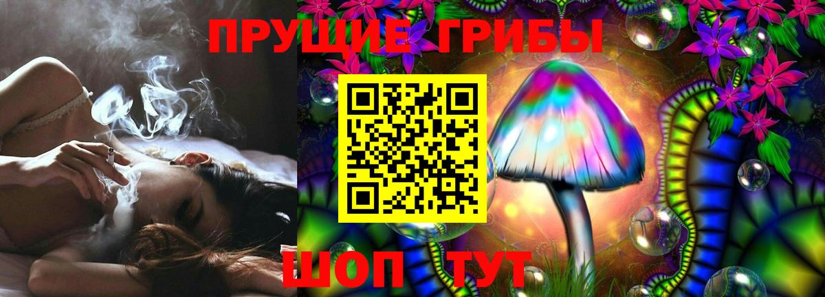 Кунгур  Псилоцибиновые грибы Psilocybe  Вход с VPN  Галлюциногенные грибы мухоморы 